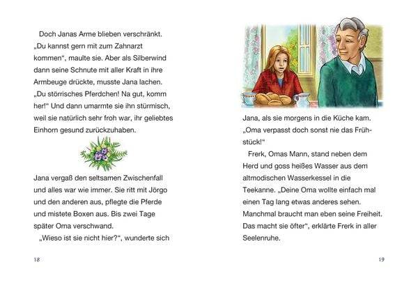 Silberwind, das weiße Einhorn (Band 6) - Das geheime Zauberschloss