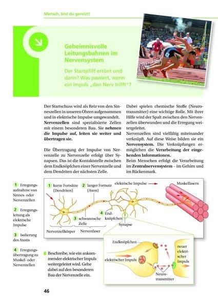 Biologie Na klar! 9/10 Lehrbuch