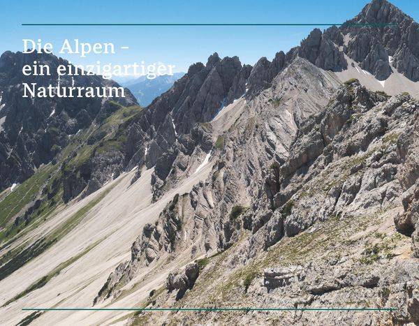Der illustrierte Naturführer Alpen
