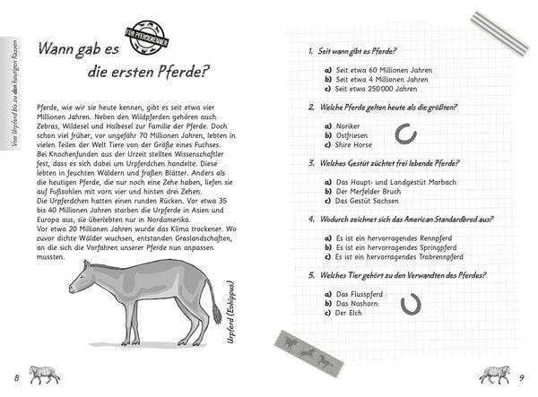 Mein Pferdequiz
