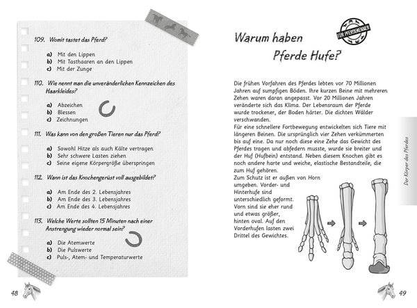 Mein Pferdequiz