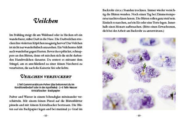 Das große kleine Buch: Kräuterwanderung mit Kindern