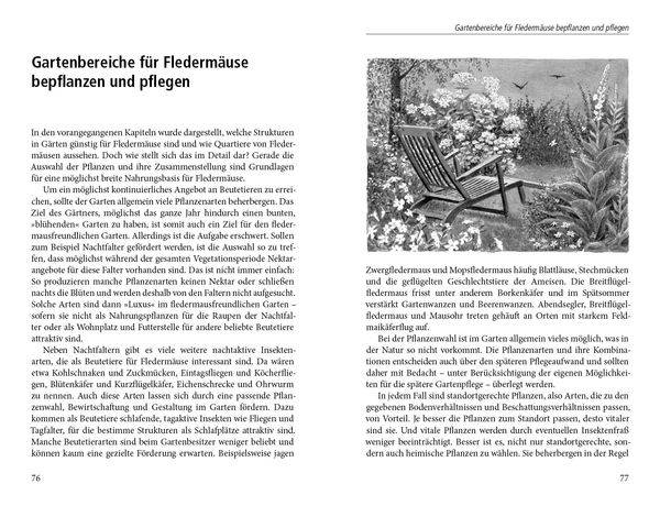 Ein Garten für Fledermäuse