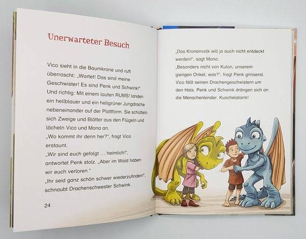 Vico Drachenbruder (3). Der Schatz im Feuerberg