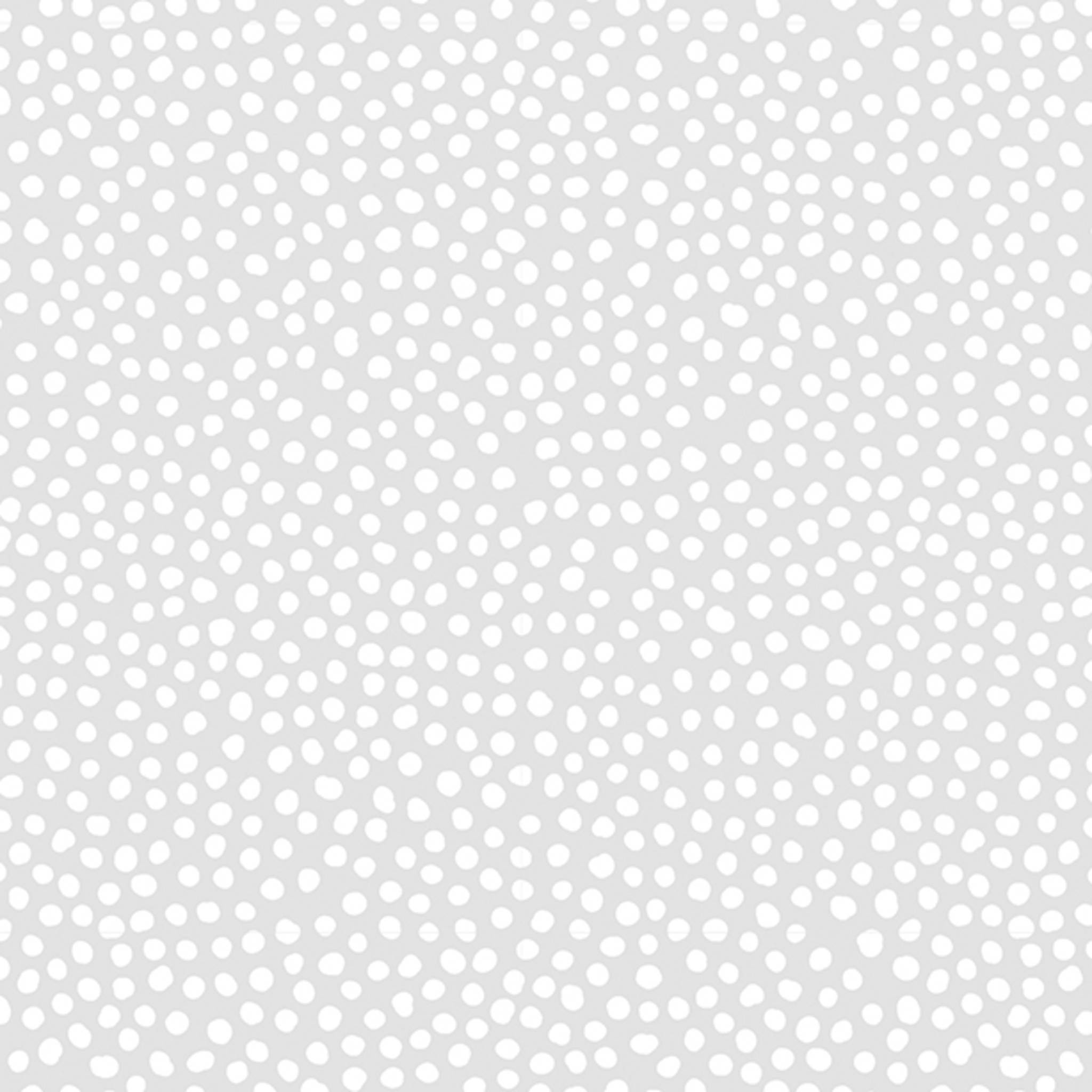 Clairefontaine Geschenkfolie 35µ Rolle 50x0,70m Weiße Punkte Transparent 211771C