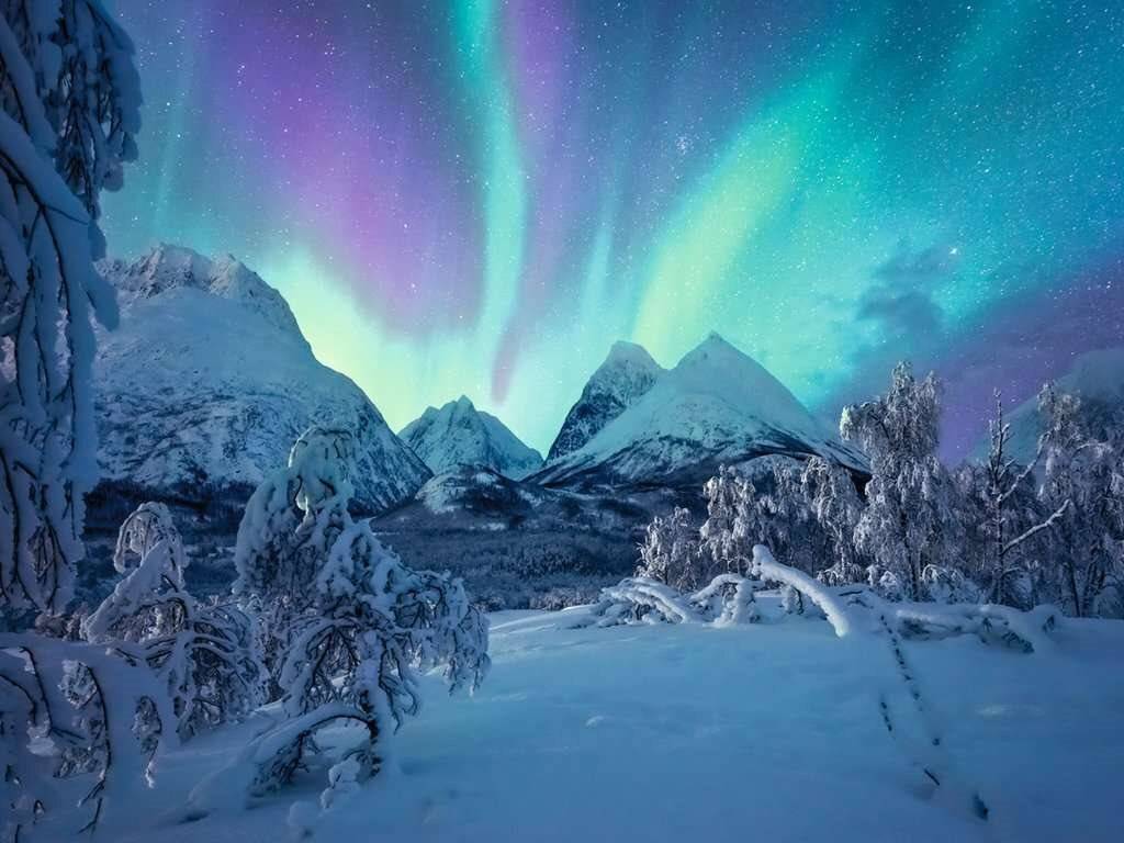 Power of Nature Puzzle Wenn die Nordlichter tanzen (1500 Teile)