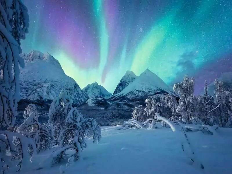 Power of Nature Puzzle Wenn die Nordlichter tanzen (1500 Teile)