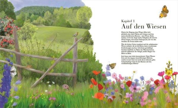 Der große Naturführer. Pflanzen, Tiere, Wolken und Sternbilder bestimmen. Nach Lebensräumen gegliedert.