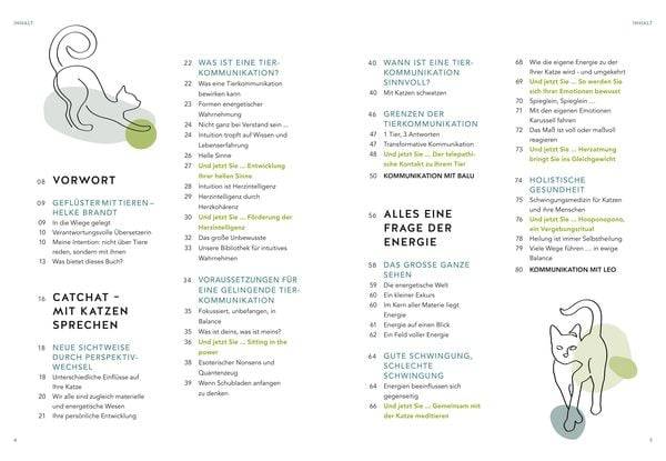 Was will mir meine Katze sagen?