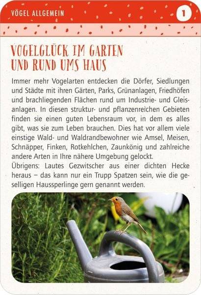 Blatt & Blüte Vogelglück