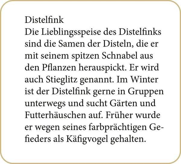 Sound-Adventskalender