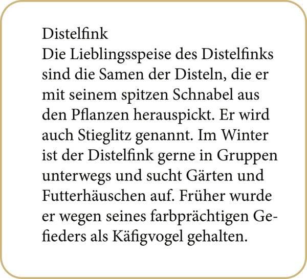 Sound-Adventskalender