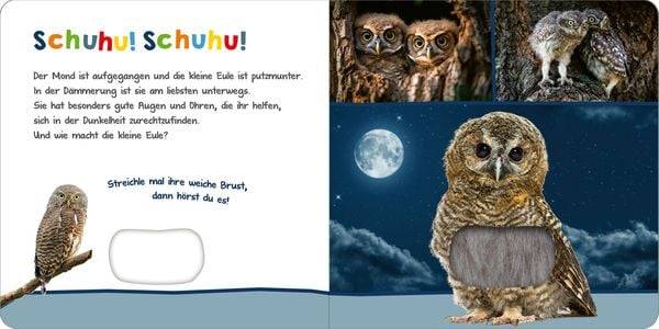 Hör mal rein, wer kann das sein? – Tiere in der Nacht