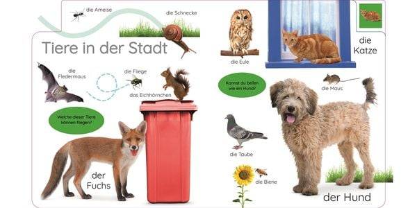 Erstes Lernen. In der Stadt
