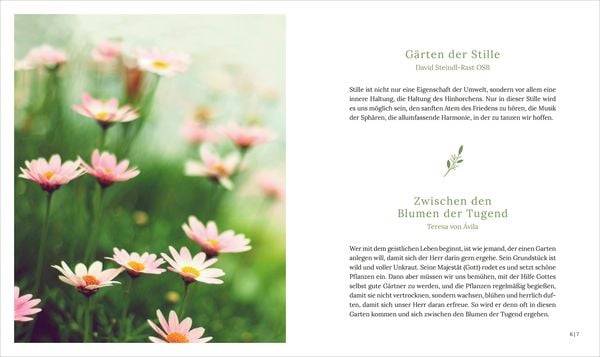 Im Paradies der Stille