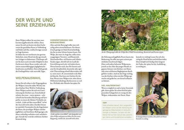 Vom Welpen zum Jagdhelfer