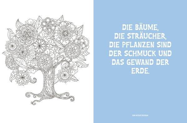 Colorful Mandala – Botanischer Garten