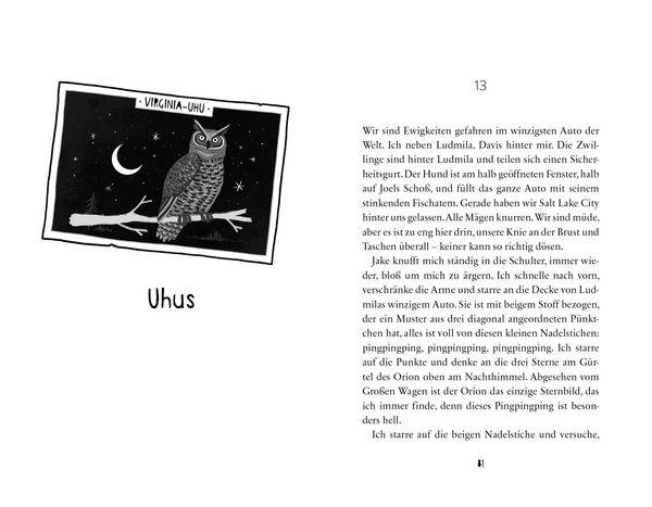 Komische Vögel – 2.500 Meilen Familie, Chaos und jede Menge Chicken Nuggets