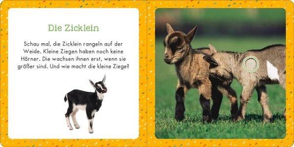 Soundbuch für Klitzekleine – Bauernhoftiere