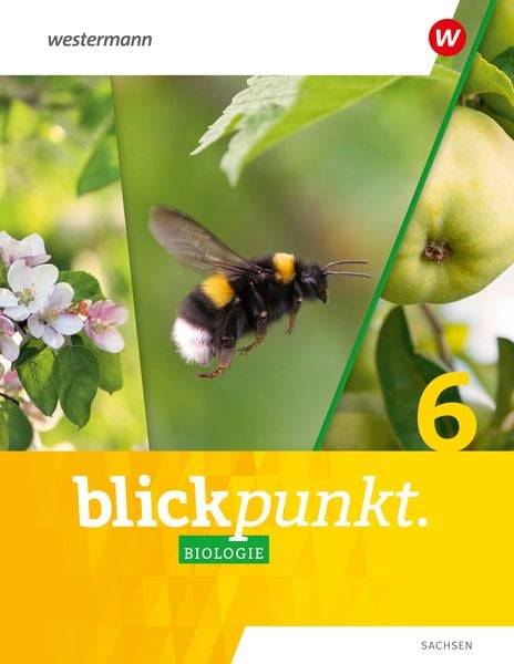 Blickpunkt Biologie 6. Schulbuch. Für Sachsen