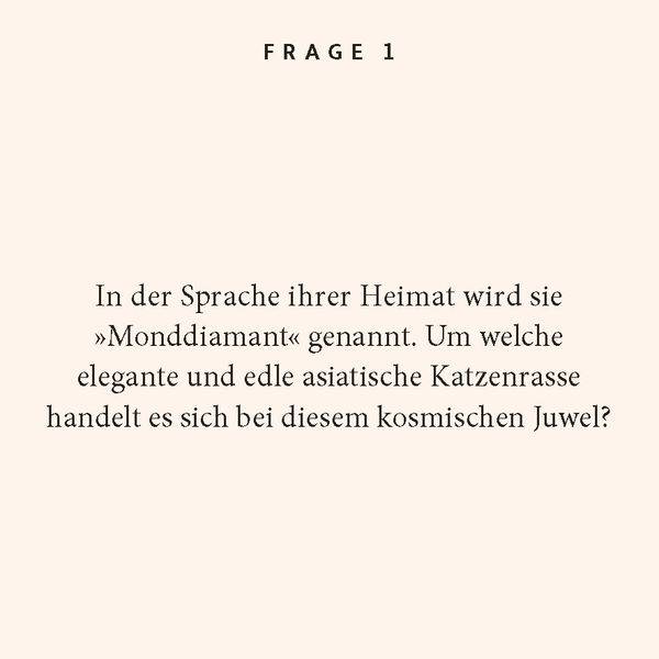 Katzen-Quiz