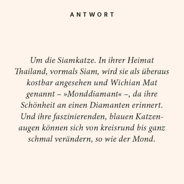 Katzen-Quiz