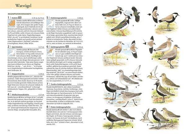 Was fliegt denn da? Das Original