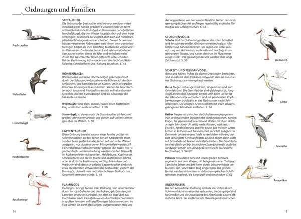 Was fliegt denn da? Das Original