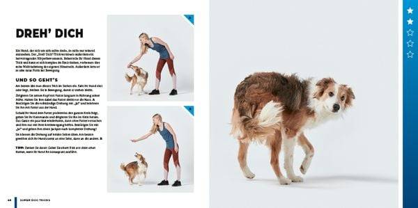Super Dog Tricks