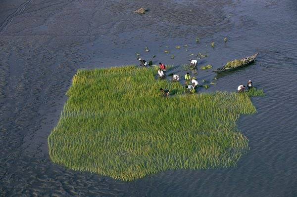 Die Erde von Oben Teil 5 - Green is Universal: Einsatz für die Umwelt/Konsumgesellschaft [2 DVDs]