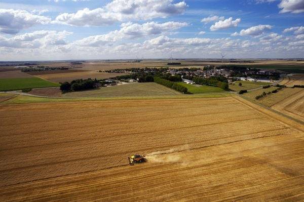 Die Erde von Oben Teil 3 - Green is Universal: Nahrung für die Welt/Menschen und Tiere [2 DVDs]