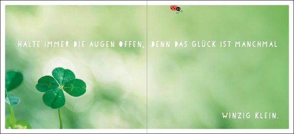 Für dich hab ich das Glück gepflückt