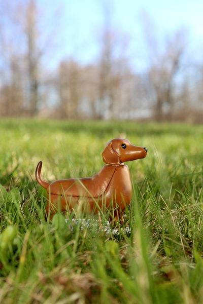 Solar Dashund - Boudewijn