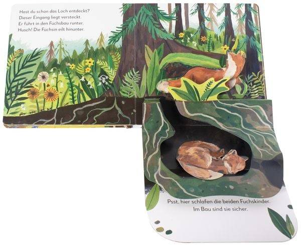 Mein Pop-up-Buch zum Staunen. Wer lebt im Wald?