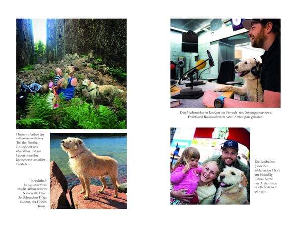 Arthur und seine Freunde