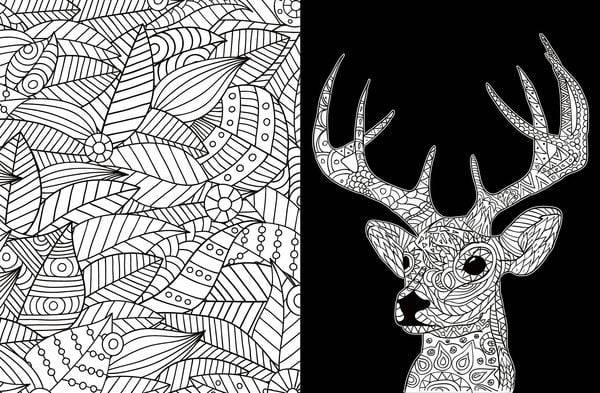 Black Edition: Inspiration Waldtiere