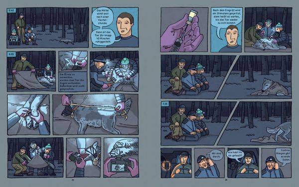 Wölfe - Wahre Geschichten