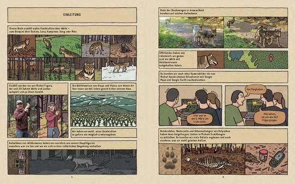 Wölfe - Wahre Geschichten