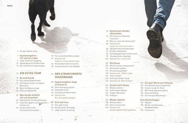 Die José-Arce-Methode: Liebe Deinen Hund. Wie Sie beim Gassigehen die Beziehung stärken