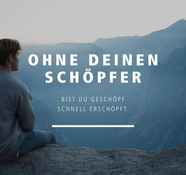 Mutig und stark - Kraftvolle Impulse für alle Wochen des Jahres