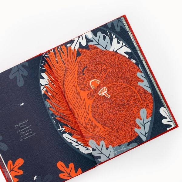 Das Eichhörnchen und der verlorene Schatz