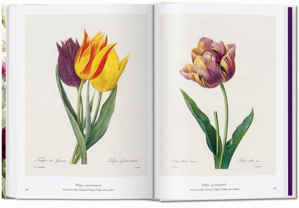 Pierre-Joseph Redouté. The Book of Flowers