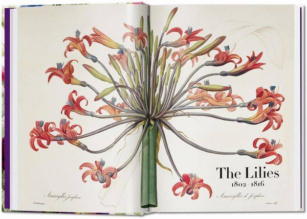 Pierre-Joseph Redouté. The Book of Flowers