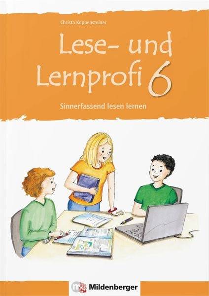 Lese- und Lernprofi 6