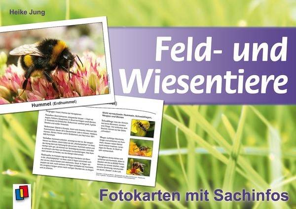 Feld- und Wiesentiere - Fotokarten mit Sachinfos