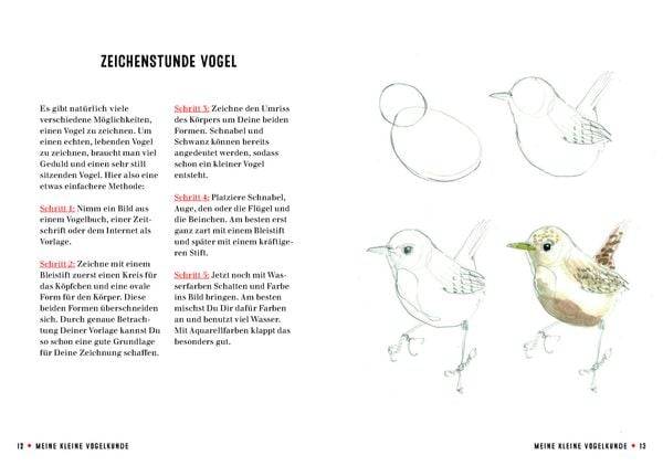Meine kleine Vogelkunde