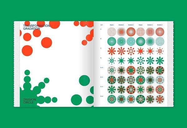 Flexible Visual Systems