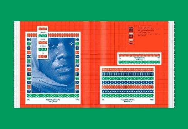 Flexible Visual Systems