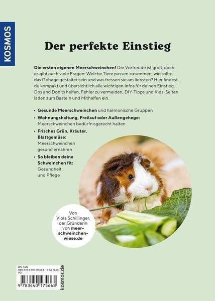 Meerschweinchen