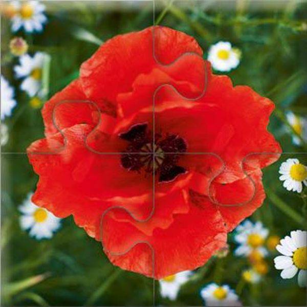 Das "Gelingt-immer"-Puzzle Wiesenblumen. Das Puzzle-Spiel für Senioren mit Demenz